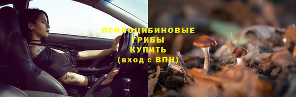 гидра Балабаново