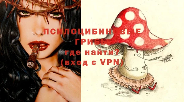 эйфоретик Балахна