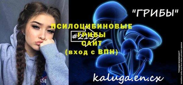 эйфоретик Балахна