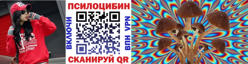 Галлюциногенные грибы прущие грибы Богданович